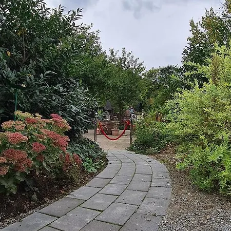 アパート Auf Dem Reiterhof ヴェルニゲローデ