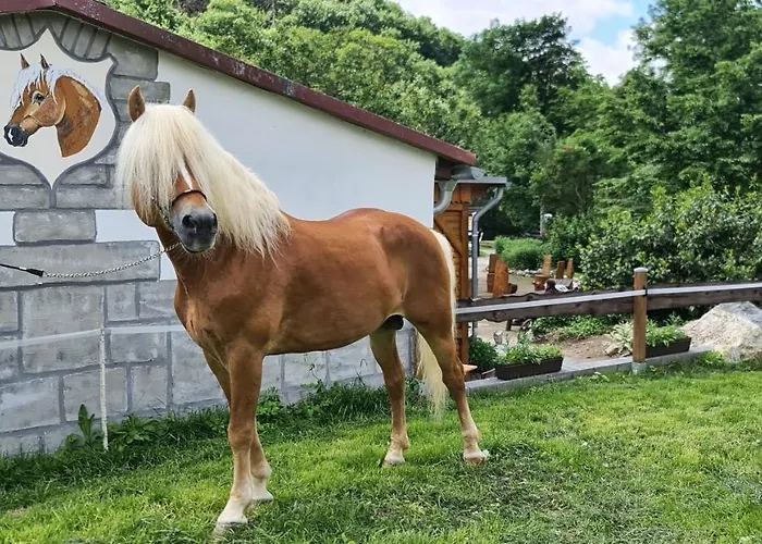 Auf Dem Reiterhof Apartment Wernigerode