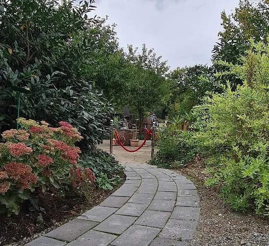 Apartment Auf Dem Reiterhof Wernigerode